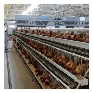 Type a Staircase Layer System for Export Egg Laying Equipment Chicken Cage