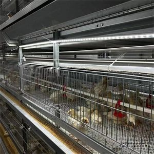 Durable Automatic Chicken Broiler Cage with Motor for Poultry Farms