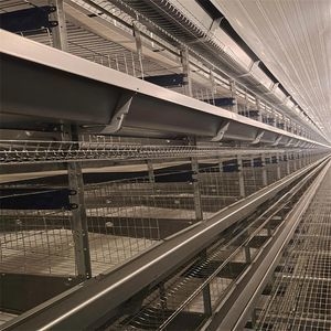 Hot Selling H-Type Automatic Feeding Egg Collection System New Layer Chicken Cage with High Efficiency for Poultry Farms