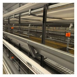 Rust-Proof 9-Layer H-Style Chicken Cages System Egg Layer Chicken