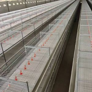 New Complete Automatic Layer Broiler Chicken Cage System