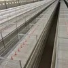 New Complete Automatic Layer Broiler Chicken Cage System