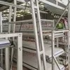 New Complete Automatic Layer Broiler Chicken Cage System