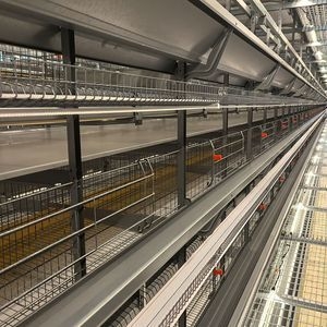 Hot Sale Poultry Farm Equipment Laying Egg Hens Cage System Layer Battery Chicken Cage