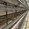 Hot Sale Poultry Farm Equipment Laying Egg Hens Cage System Layer Battery Chicken Cage