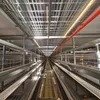 Hot Sale Poultry Farm Equipment Laying Egg Hens Cage System Layer Battery Chicken Cage