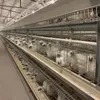 Automatic Poultry Farming Equipments H Shaped Small Stacked Layer Chicken Cage
