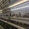 Hot-DIP Galvanized Chicken Coop Broiler Chicken Cage Poultry Farm Equipment