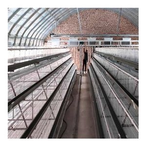a-Type Ladder Automatic Laying Hen Breeding Cage