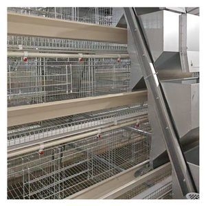 Advanced Automatic Chicken Layer Cage for Poultry Farming