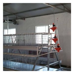 Hens Battery Cage Sloped Design Type a Chicken Production Cages