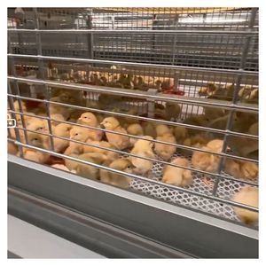 Hot Sale Chicks Broiler Chicken Cages Farm Equipment Chicken Brooding Cage