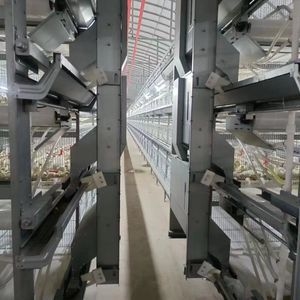 Modern Design Chicken Farm Automatic Battery 3 Tiers 4 Tiers Day Old Baby Brooder Chick Cage