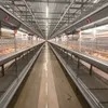 Qm Wooden Cases H Type Baby Chicken Breeding Cage