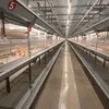 Qm Wooden Cases H Type Baby Chicken Breeding Cage