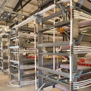 High-Quality Multifunctional H-Type Broiler Cage for Poultry Farm