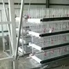 High-Quality Multifunctional H-Type Broiler Cage for Poultry Farm