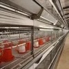 High-Quality Multifunctional H-Type Broiler Cage for Poultry Farm