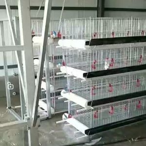 Chicken Cage Net for Raising Chickens