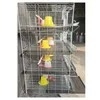 Chicken Cage Net for Raising Chickens