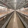 Fully Automatic Feeding Line System Pan Feeder Nipple Drinker Poultry Farming Equipment for Broiler Chicken Products
