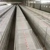 Fully Automatic Feeding Line System Pan Feeder Nipple Drinker Poultry Farming Equipment for Broiler Chicken Products