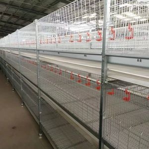 Broiler Poultry Farming Equipment H Type Galvanized Automatic Battery Chicken Cages for Sale in Philippines