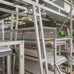 Chicken Poultry Farm Equipment Broiler Battery Cage for Sale in The Philippines