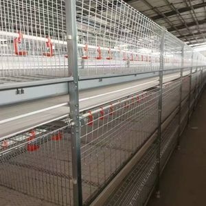 Fully Automated Tunnel Ventilated Broiler Poultry Farm House Multi-Tier Chicken Cages in Philippines