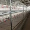 Fully Automated Tunnel Ventilated Broiler Poultry Farm House Multi-Tier Chicken Cages in Philippines