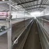 Fully Automated Tunnel Ventilated Broiler Poultry Farm House Multi-Tier Chicken Cages in Philippines