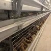 Premium Quality 9-Tier H-Assembly Chicken Cages Layer Battery Chicken Cage