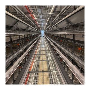 Customizable 9-Layer H-Integration Chicken Cages