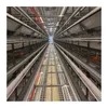 Customizable 9-Layer H-Integration Chicken Cages