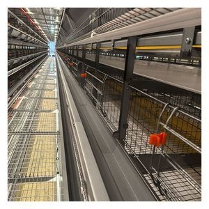 Cost-Effective 9-Layer H-Engineering Chicken Cages Layer Battery Chicken Cage