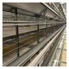 Labor-Saving 9-Tier H-Organization Chicken Cages Egg Chicken Battery Cages