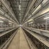 Easy-Clean 9-Layer H-Composition Chicken Cages Egg Chicken Battery Cages