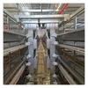 Easy-Clean 9-Layer H-Composition Chicken Cages Egg Chicken Battery Cages