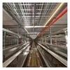 Easy-Clean 9-Layer H-Composition Chicken Cages Egg Chicken Battery Cages