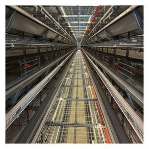 Hot-DIP Egg Layer Chicken Cages Galvanized 9-Tier H-Cage Chicken Cages