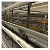 Hot-DIP Egg Layer Chicken Cages Galvanized 9-Tier H-Cage Chicken Cages